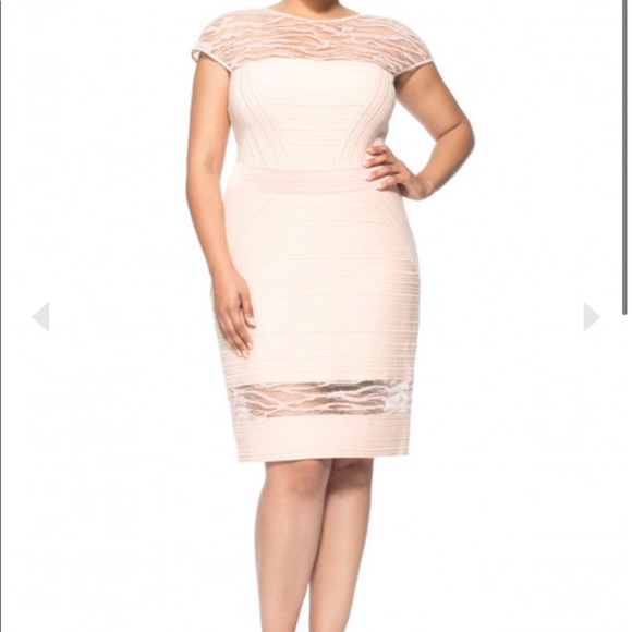 NWT Tadashi Shoji Sheer Illusion Embroidered Jersey Fitted Plus 1x Petal Bloom - Picture 2 of 4